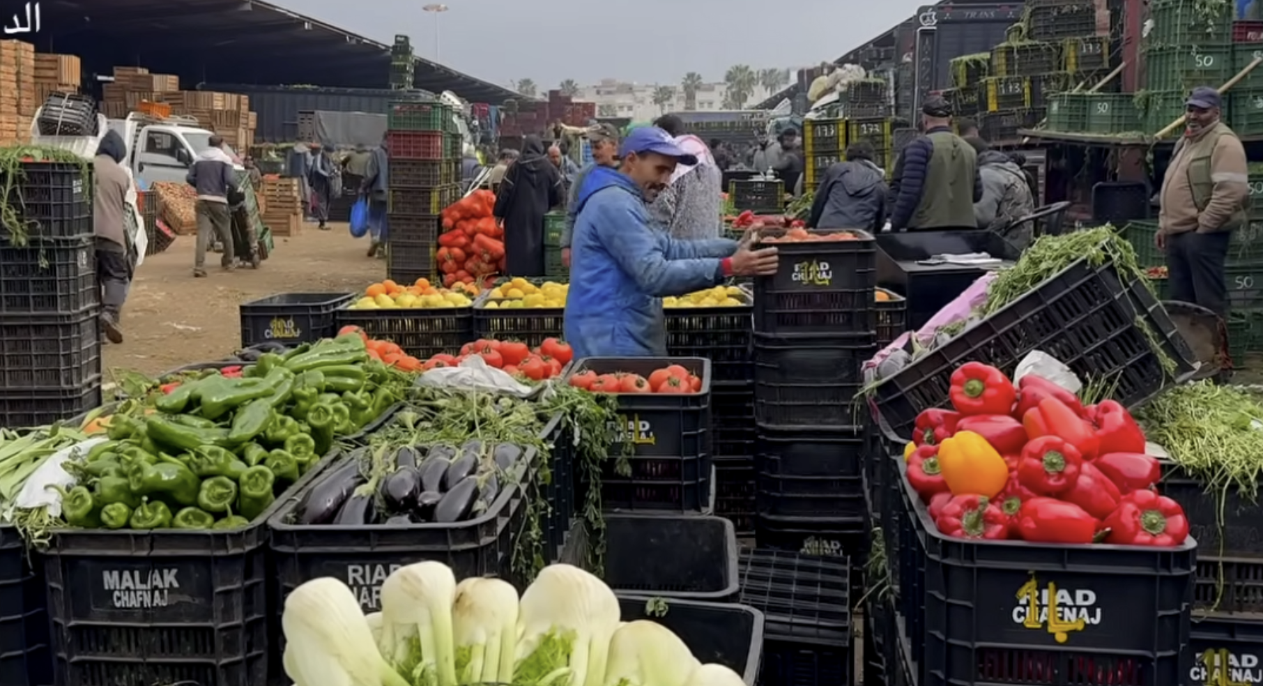 أسعار الخضر تشتعل من جديد.. والطماطم تتصدر موجة الغلاء