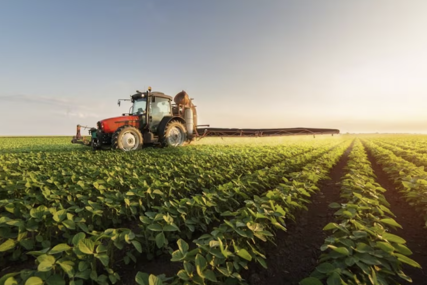  استعدادات شاملة لضمان موسم فلاحي واعد بالمغرب رغم التحديات المناخية