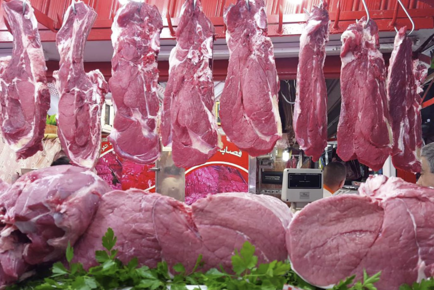 إعفاءات استيراد الماشية لا تخفض الأسعار.. اللحوم الحمراء تواصل الارتفاع