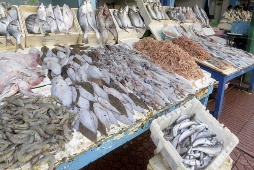 وفرة الأسماك بالأسواق المغربية رغم اضطراب نشاط الصيد بسبب الأحوال الجوية
