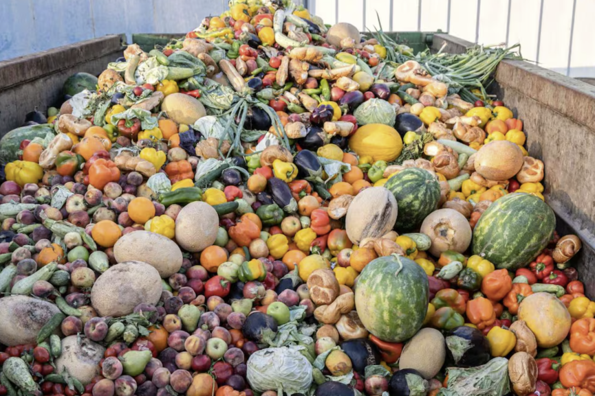 المجلس الاقتصادي يحذر من هدر 4.2 ملايين طن من الغذاء سنويا في المغرب