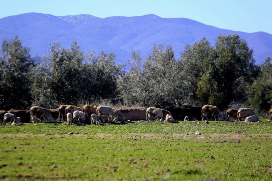 تحسن تدريجي في الحالة الجوية بالمغرب ابتداء من الثلاثاء