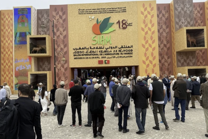 مكناس تتحول إلى واجهة للفلاحة المغربية في “سيام 2026”