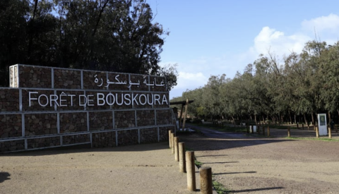 وضع نظام مراقبة متطور لتعزيز أمن وحماية غابة بوسكورة-مرشيش من التخريب والحرائق