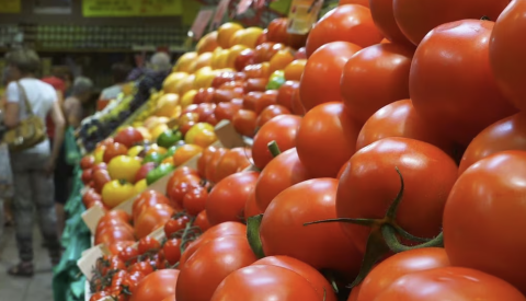 المغرب يعزز موقعه كأحد أبرز موردي الطماطم إلى السوق البريطانية