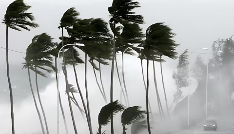 نشرة إنذارية تحذر من أمطار قوية ورياح عاصفية بعدد من مناطق المملكة