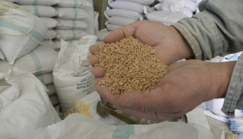 زكاة الفطر ترتفع إلى 25 درهما بالمغرب مع استمرار موجة الغلاء