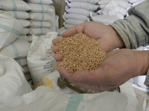 زكاة الفطر ترتفع إلى 25 درهما بالمغرب مع استمرار موجة الغلاء