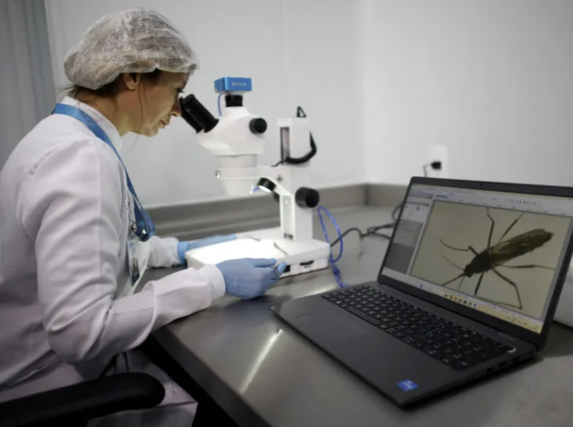 مقاومة المضادات الحيوية تتصاعد.. تهديد صحي قد يحصد ملايين الأرواح