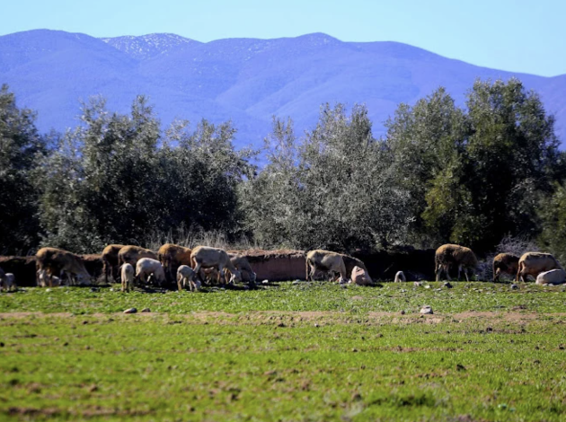 تحسن تدريجي في الحالة الجوية بالمغرب ابتداء من الثلاثاء