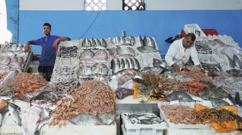 غلاء أسعار السمك يربك السوق المركزي بالدار البيضاء