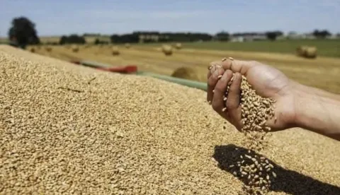 أسعار الحبوب والقطاني تتراجع بالمغرب.. ارتياح نسبي للمستهلكين قبل الدخول المدرسي