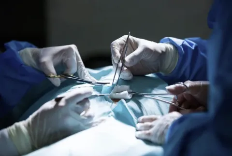 نجاح زراعة كبد خنزير في جسم إنسان لأول مرة في العالم