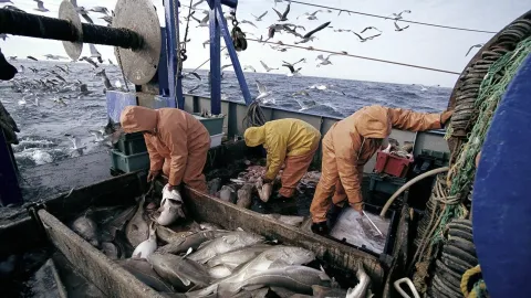 الاتحاد الأوروبي يوافق رسميا على استئناف مفاوضات اتفاق الصيد البحري مع المغرب