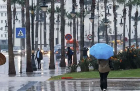 المديرية العامة للأرصاد الجوية: طقس بارد وأمطار وثلوج مرتقبة بعدد من مناطق المملكة