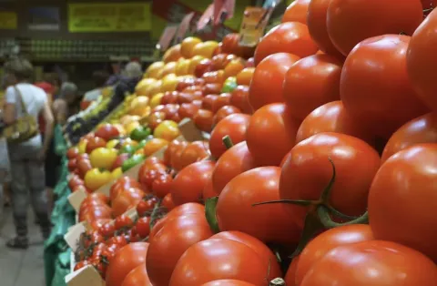 المغرب يعزز موقعه كأحد أبرز موردي الطماطم إلى السوق البريطانية
