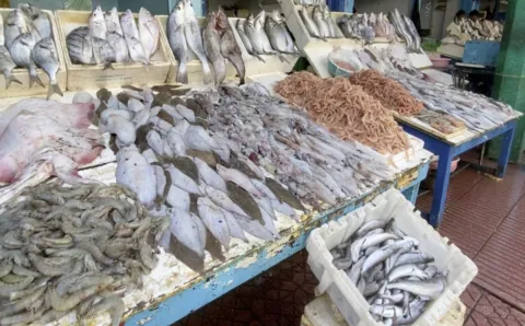 وفرة الأسماك بالأسواق المغربية رغم اضطراب نشاط الصيد بسبب الأحوال الجوية