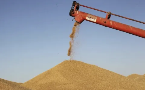 بنك المغرب يرفع توقعات النمو إلى 5.6% في 2026 ويثبت سعر الفائدة