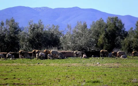تحسن تدريجي في الحالة الجوية بالمغرب ابتداء من الثلاثاء