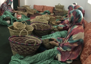 مشاريع تنموية لفائدة التعاونيات تساهم في تشغيل الشباب والنساء بإقليم تاونات