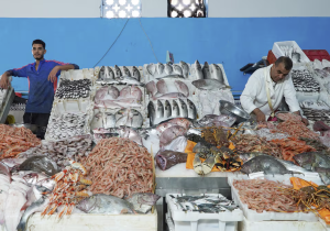 غلاء أسعار السمك يربك السوق المركزي بالدار البيضاء