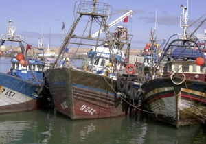 ميناء طانطان يسجل نمواً قياسياً بـ81% في كميات المصطادات و39% في قيمتها