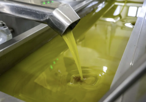 وفرة قياسية في زيت الزيتون بالمغرب تخفض الأسعار إلى ما يقارب 50 درهما للتر الواحد