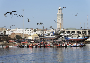 جاذبية قطاع الصيد البحري المغربي تجلب إشادات دولية لتدبير القطاع