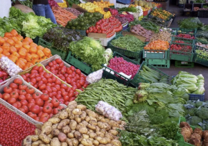 الدار البيضاء تستعد لإطلاق أضخم مجمع وطني لتسويق المنتجات الفلاحية والغذائية والبحرية