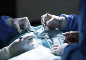 نجاح زراعة كبد خنزير في جسم إنسان لأول مرة في العالم