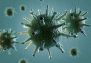 منظمة الصحة العالمية تحذر من تفشي البكتيريا المقاومة للمضادات الحيوية  