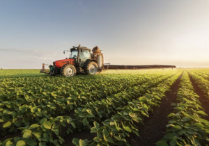 بين التخوّف والتفاؤل.. الفلاحون المغاربة يترقّبون الأمطار من أجل موسم فلاحي واعد