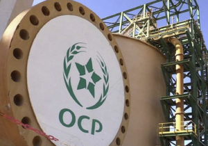 المجمع الشريف للفوسفاط يسجل ثاني أفضل أداء مالي في تاريخه خلال 2024