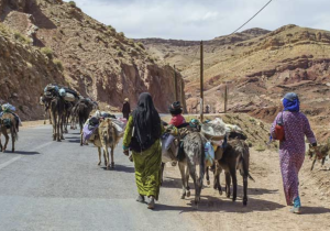 مندوبية التخطيط: الهجرة الداخلية تعيد رسم الخريطة السكانية وتعمّق "المغرب ذو السرعتين"