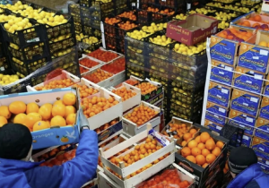 نحو 115 مليون دولار.. تقدم قوي في التبادل الغذائي بين المغرب وتونس خلال 2025