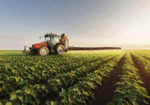  استعدادات شاملة لضمان موسم فلاحي واعد بالمغرب رغم التحديات المناخية