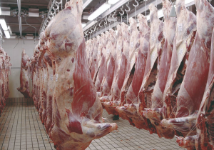 أسعار اللحوم الحمراء تثير التساؤلات مع اقتراب شهر رمضان المبارك