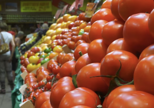 المغرب يعزز موقعه كأحد أبرز موردي الطماطم إلى السوق البريطانية