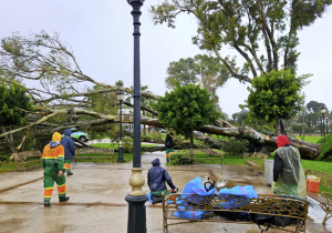 رياح قوية تخلف خسائر مادية دون إصابات بمدينة طنجة