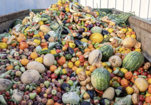 المجلس الاقتصادي يحذر من هدر 4.2 ملايين طن من الغذاء سنويا في المغرب