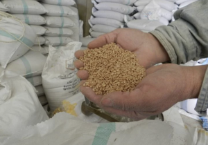 زكاة الفطر ترتفع إلى 25 درهما بالمغرب مع استمرار موجة الغلاء