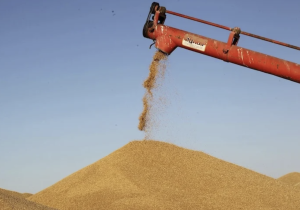 بنك المغرب يرفع توقعات النمو إلى 5.6% في 2026 ويثبت سعر الفائدة