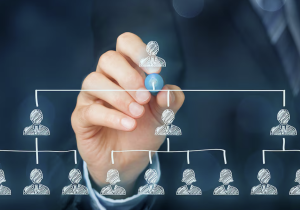 135 قضية و1887 ضحية… تفكيك شبكات التسويق الهرمي وحجز ممتلكات المتورطين