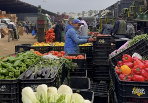أسعار الخضر تشتعل من جديد.. والطماطم تتصدر موجة الغلاء