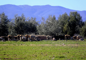 تحسن تدريجي في الحالة الجوية بالمغرب ابتداء من الثلاثاء