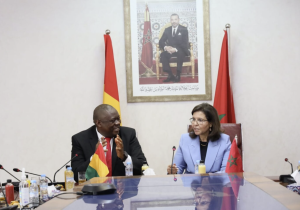 المغرب وغينيا يعززان شراكتهما في الصيد البحري بمشاريع مهيكلة جديدة