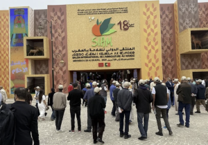 مكناس تتحول إلى واجهة للفلاحة المغربية في “سيام 2026”