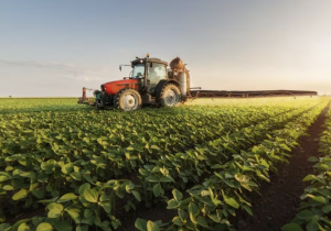 المعرض الدولي للفلاحة.. خبير: المغرب مستورد صافٍ للمياه رغم قوة صادراته الفلاحية
