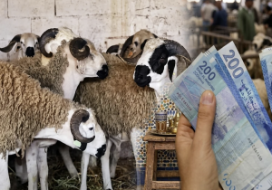 وزارة المالية تؤكد صرف أجور موظفي القطاع العام مبكراً قبل عيد الأضحى