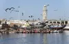 جاذبية قطاع الصيد البحري المغربي تجلب إشادات دولية لتدبير القطاع
